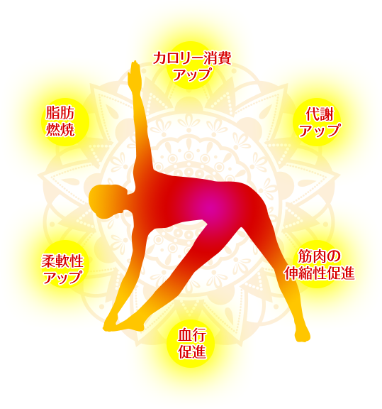 [ 画像 ] ホットヨガイメージ